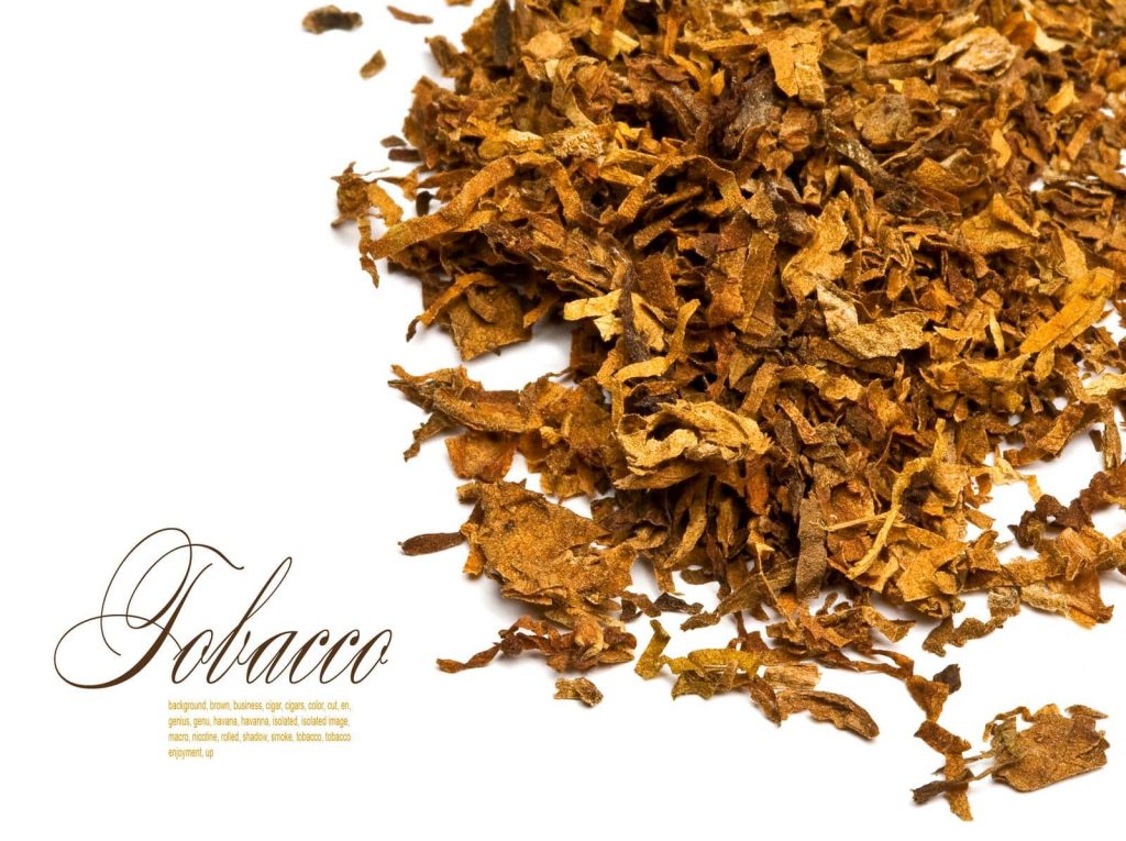 tobacco