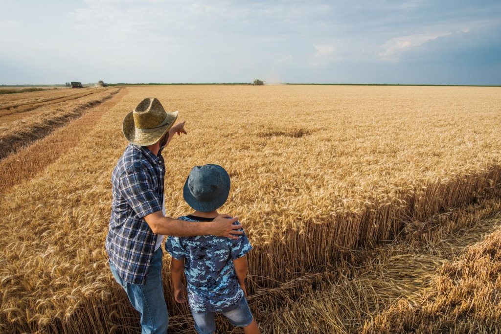 Agriculture