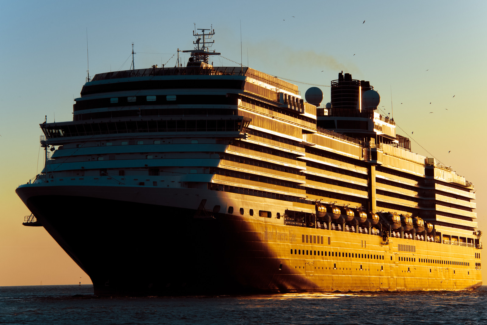 Cruise